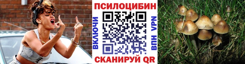 купить закладку  Нерехта  Псилоцибиновые грибы GOLDEN TEACHER 